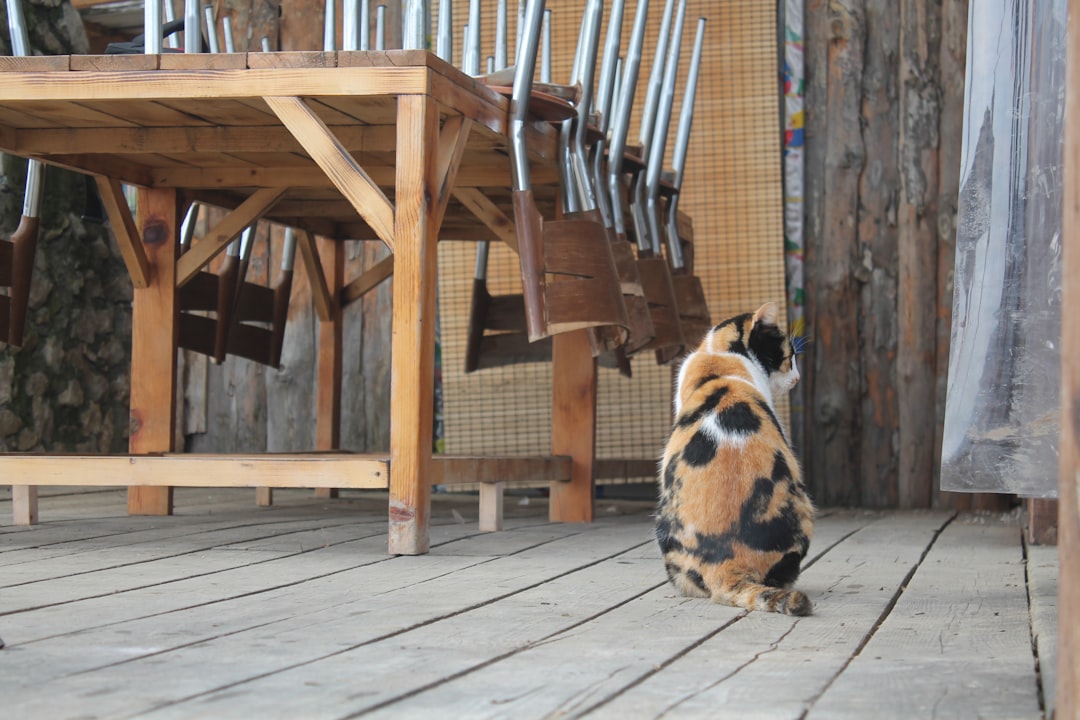 A Sign of Contentment and Affection (Image Credits: Unsplash)