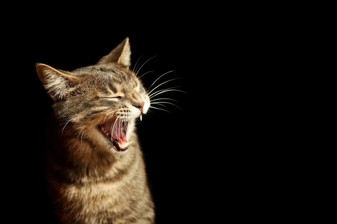#3 - The 3 A.M. Wake-Up Call Nobody Talks About (Image Credits: Unsplash)