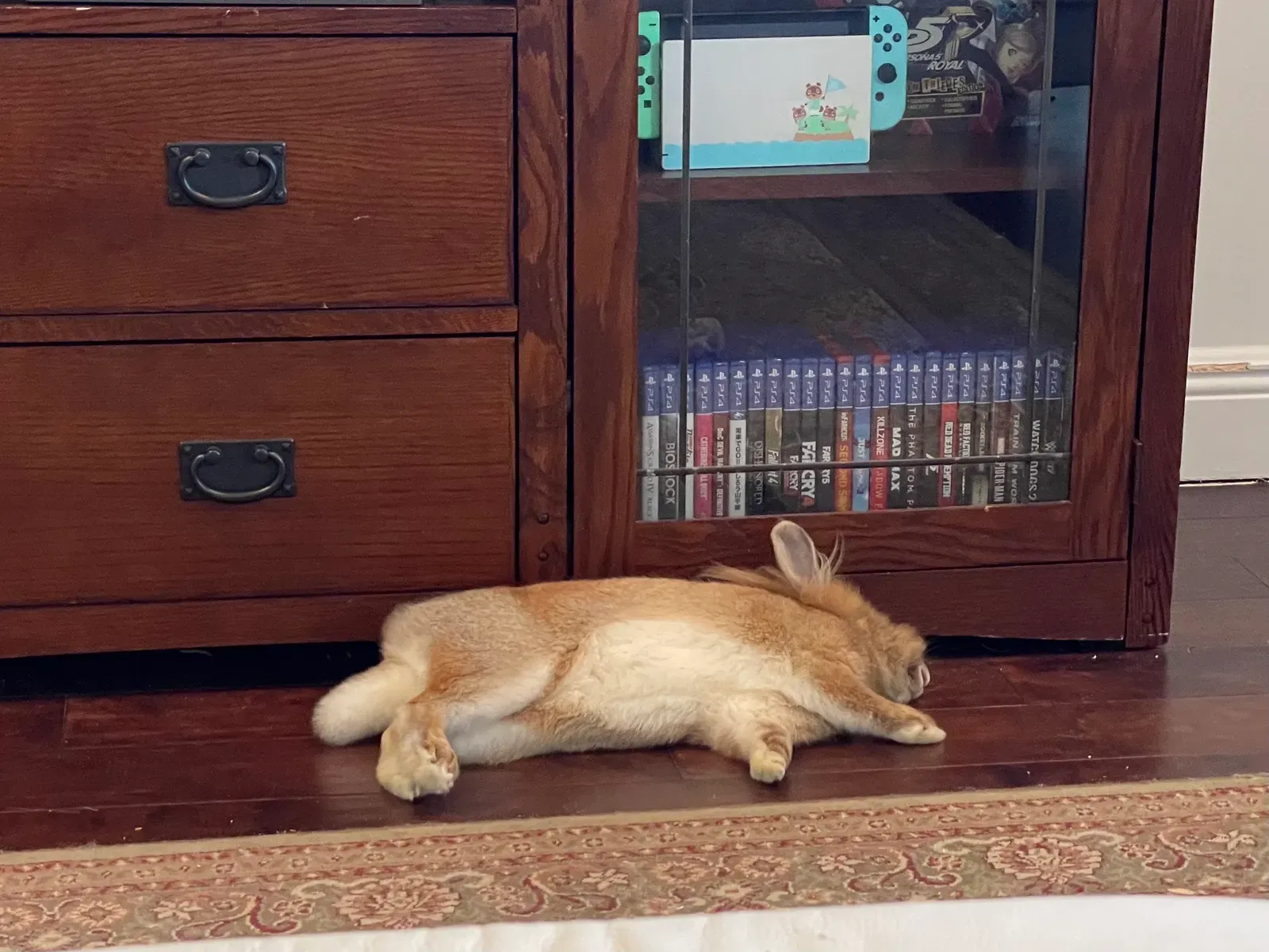 9. Flopping Over: Not Dying, But Deeply Relaxed (By Declan M Martin, Public domain)