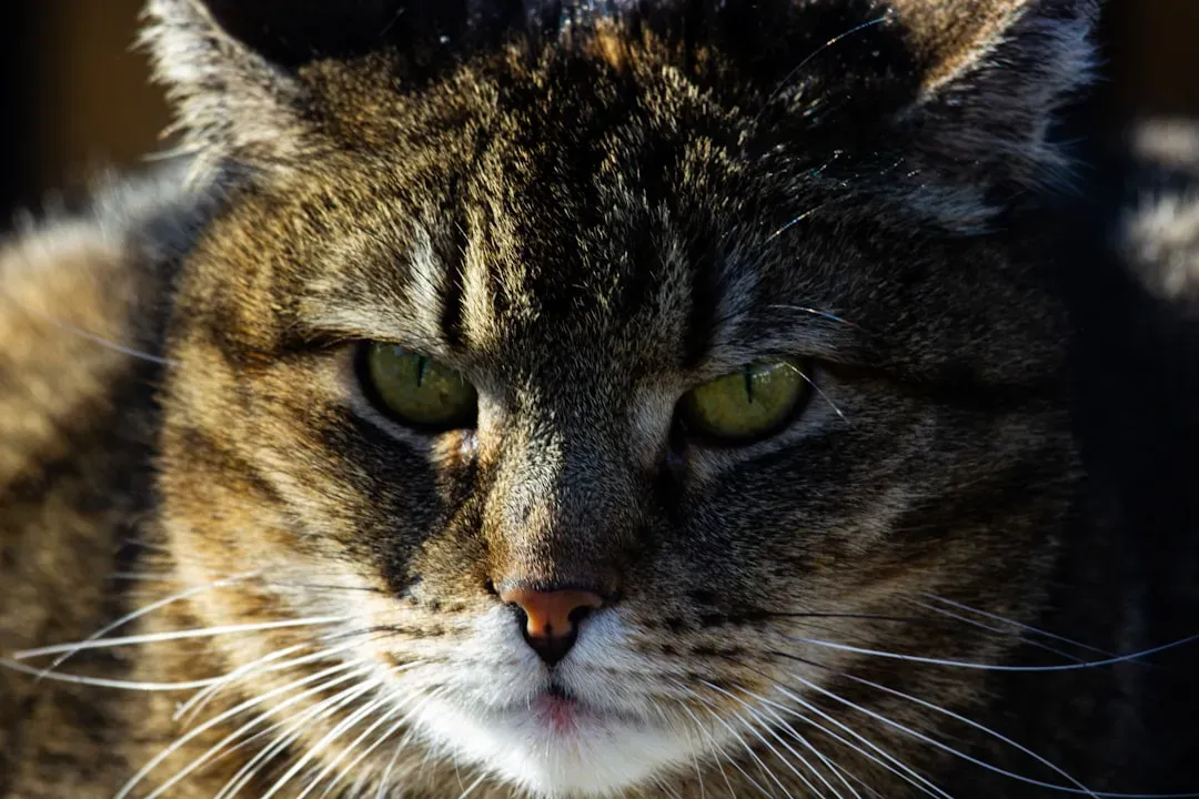 Conclusion (Image Credits: Unsplash)