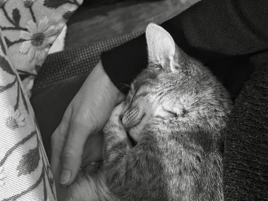 #7 It says something about the bond, without being purely sentimental (Image Credits: Pexels)