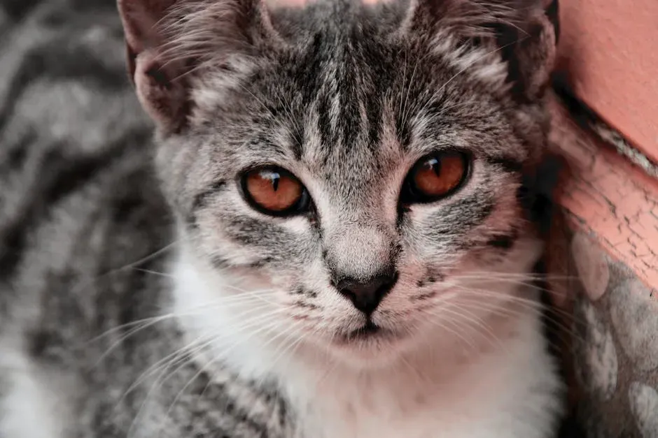 Their Memory Can Last For Years (Image Credits: Pexels)