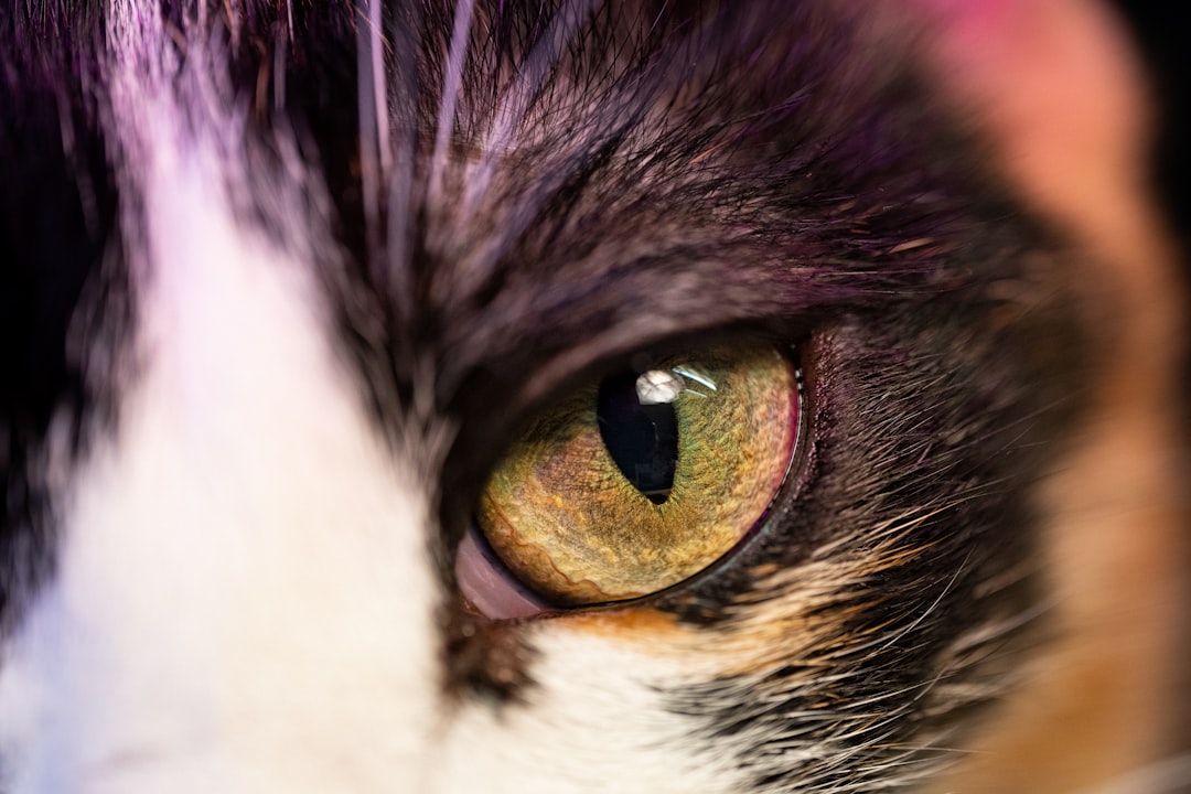 Visual Factors in Space Staring (Image Credits: Unsplash)