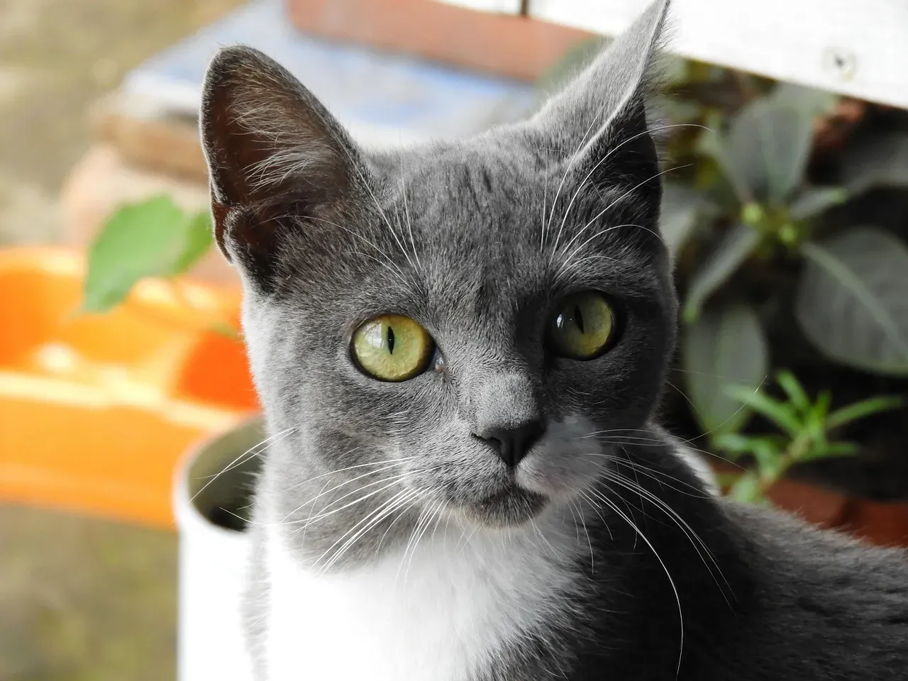 Economic Reality Versus Cosmic Destiny (Image Credits: Pixabay)