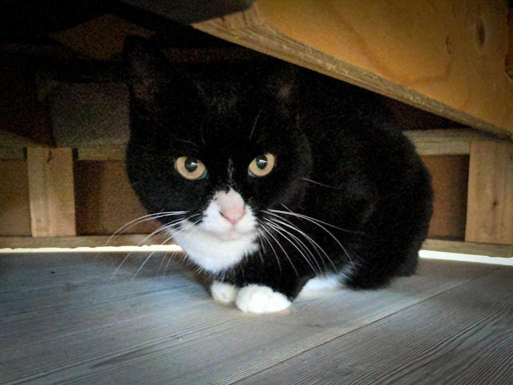 Constantly Rearranging Furniture (Image Credits: Flickr)