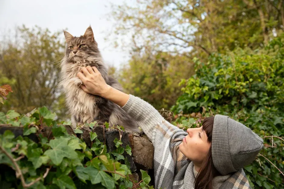 2. Maine Coon: The Gentle Giant With a Heart of Gold (Image Credits: Pexels)