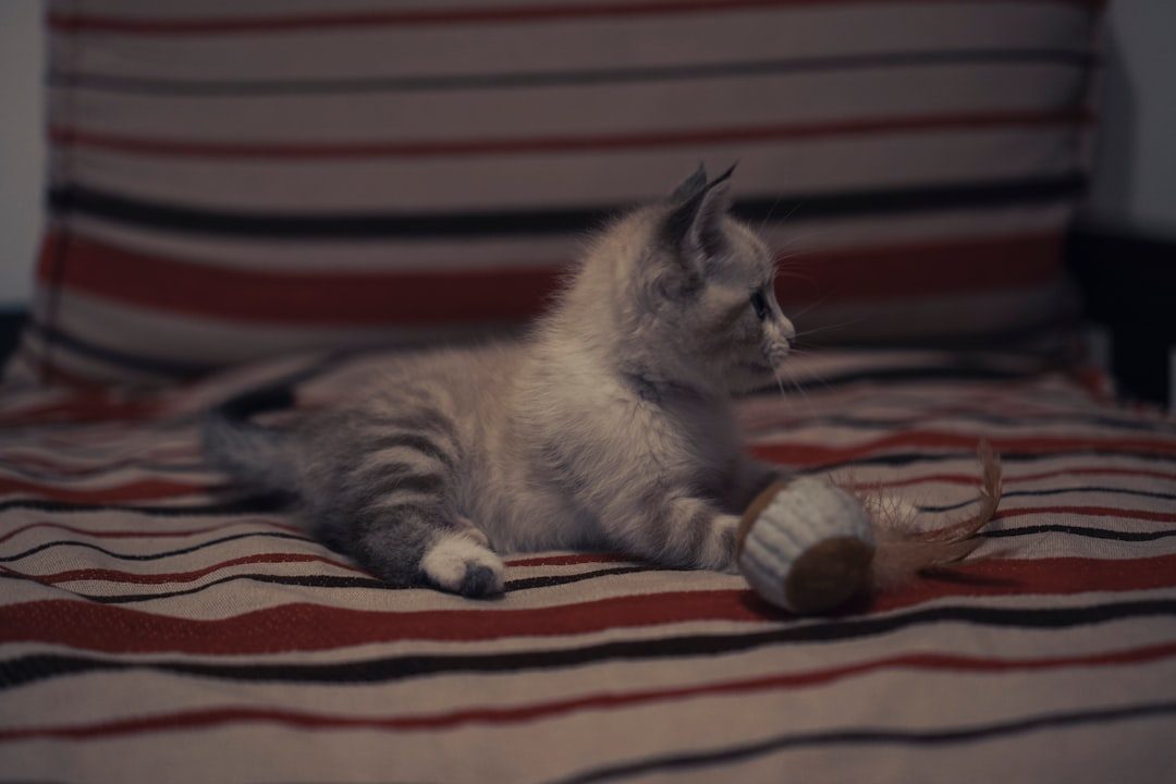 Solo Play Beats Social Games Every Time (Image Credits: Unsplash)