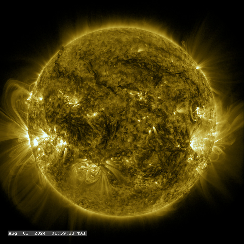 The Sun's Magnetic Pole Reversal in 2024 (Image Credits: Wikimedia)