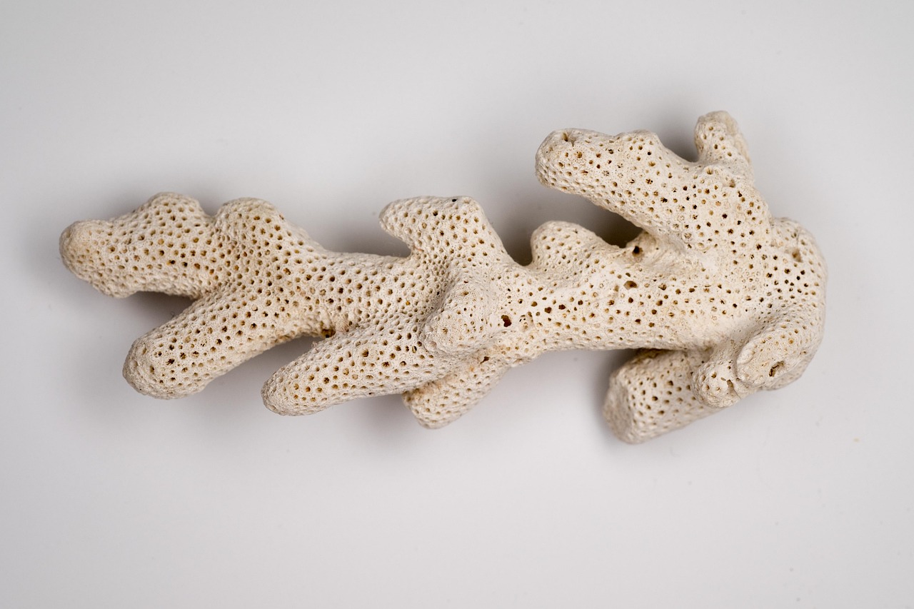 Revolutionary Imaging Techniques Unlock Hidden Data (Image Credits: Pixabay)