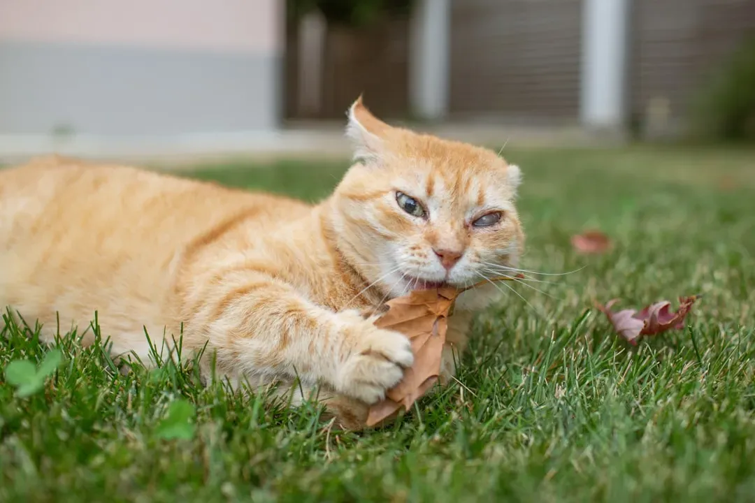 Conclusion (Image Credits: Unsplash)