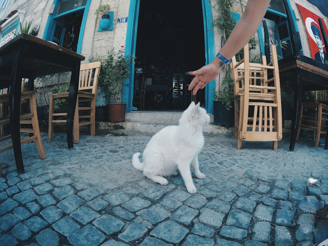 Greeting You at the Door (Image Credits: Unsplash)