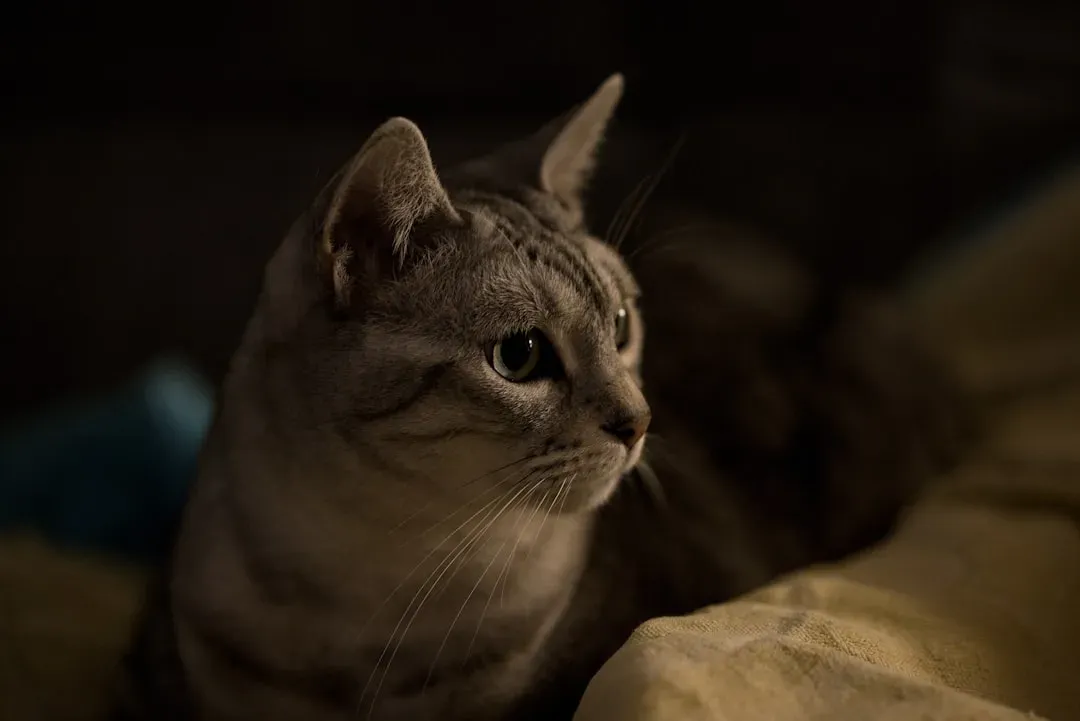 Alerting You to Unusual Sounds (Image Credits: Unsplash)