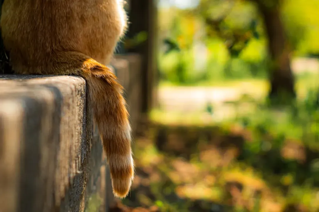 #4 The Twitching Tip While the Rest Stays Still (Image Credits: Unsplash)