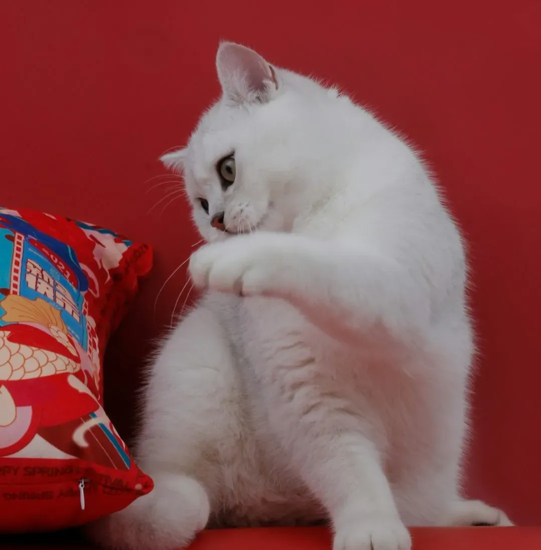#10 - The Crinkle of Any Snack Bag (Not Just Theirs) (Image Credits: Unsplash)