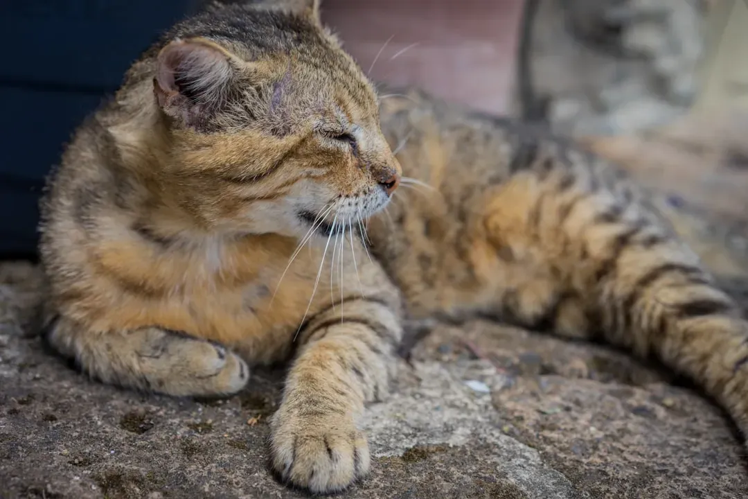 Toxins, Foreign Objects, and Emergency Warning Signs (Image Credits: Unsplash)