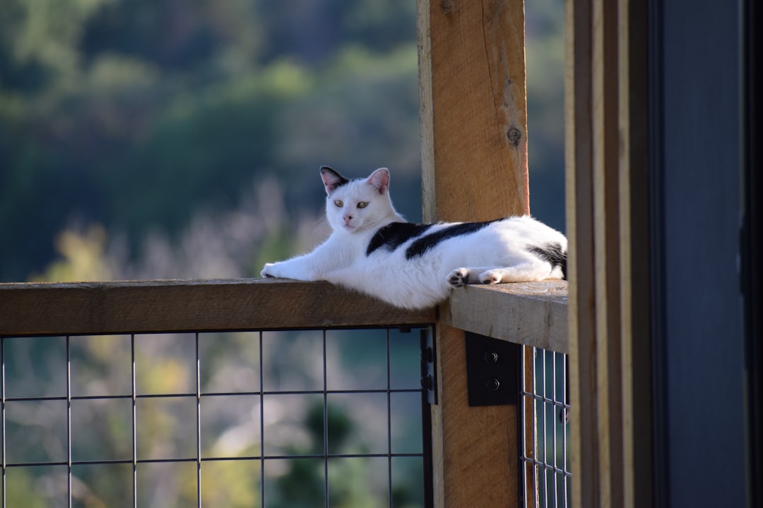 Safety and Protection From Predators (Image Credits: Unsplash)