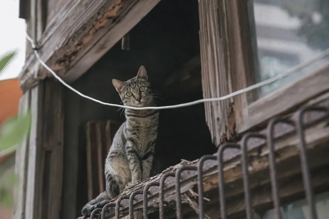 They Observe Before Participating (Image Credits: Unsplash)