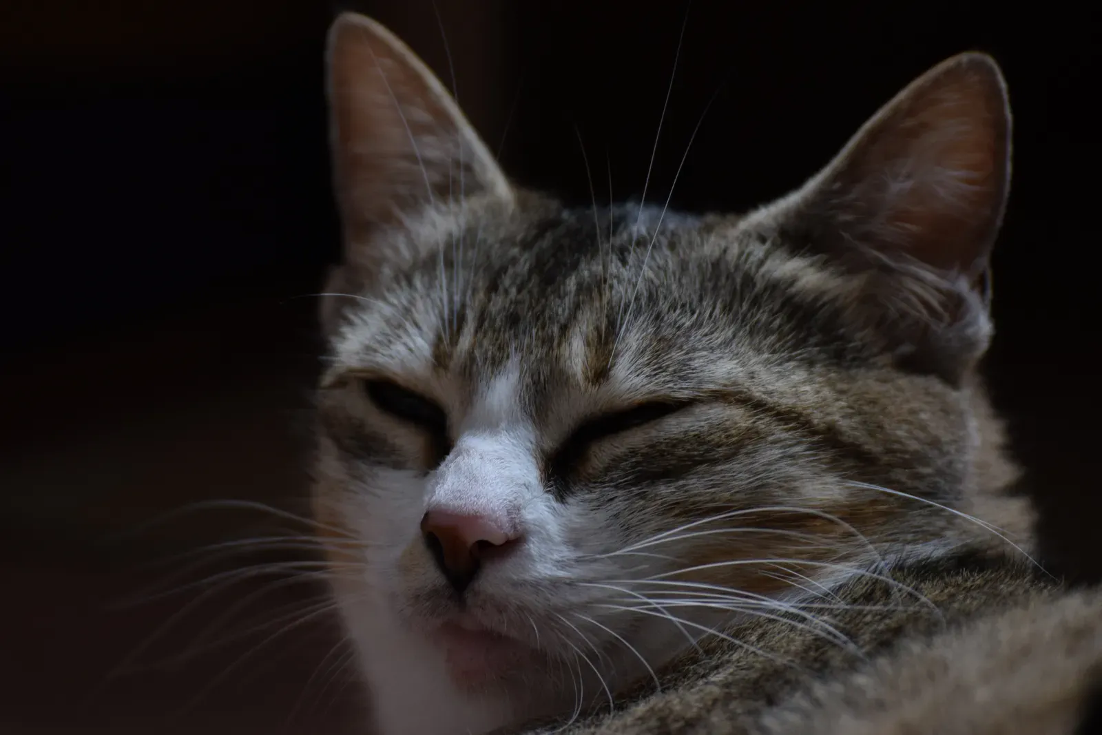 Conclusion (By 0x010C, CC BY-SA 4.0)