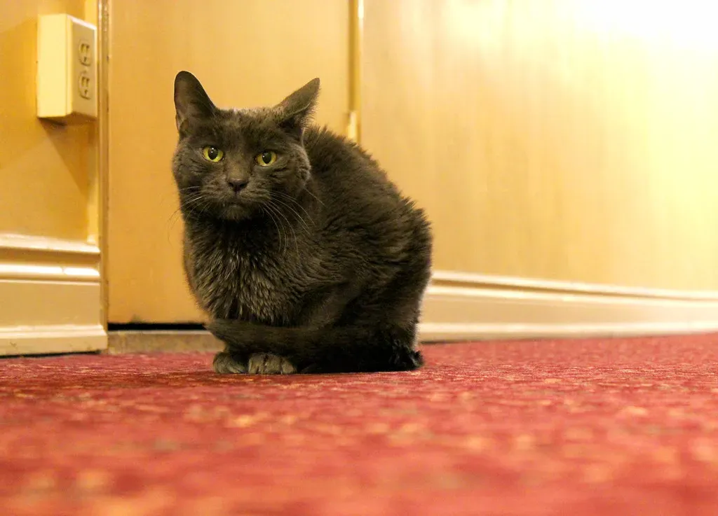 Myth: You Must Rush the Decision Once You've Decided (Image Credits: Flickr)