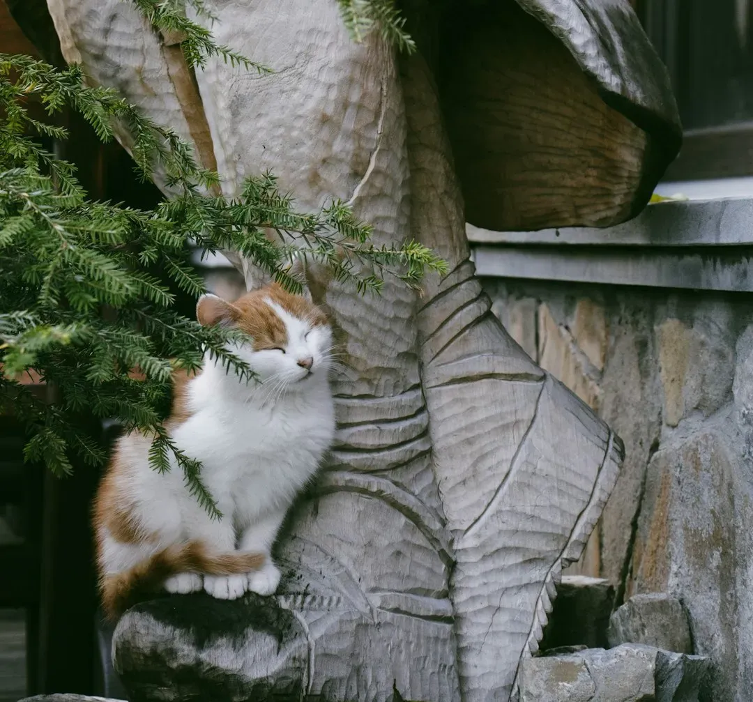 Where It All Began: Ancient Goddesses and Sacred Felines (Image Credits: Unsplash)