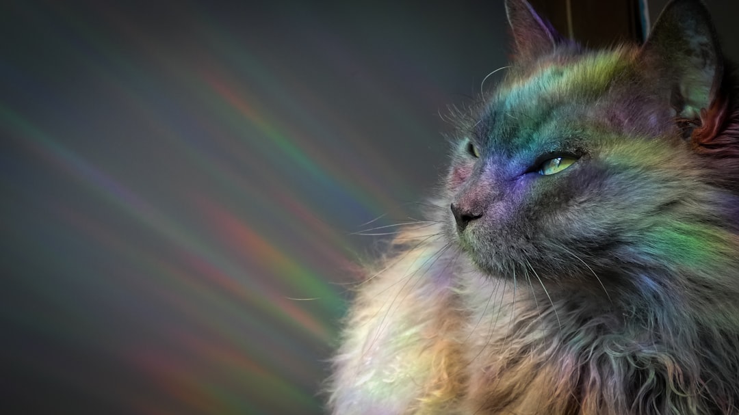 Pisces: The Psychic Feline (Image Credits: Unsplash)