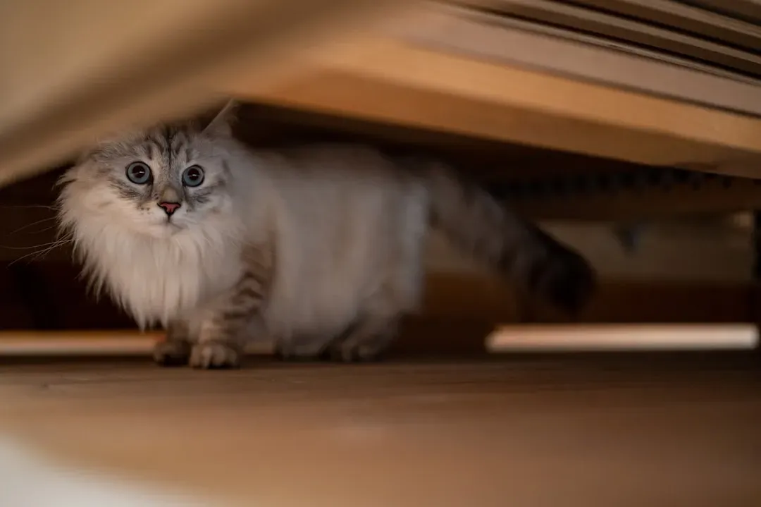 #7 - Respecting Hiding Spots Instead of Pulling Them Out (Image Credits: Unsplash)