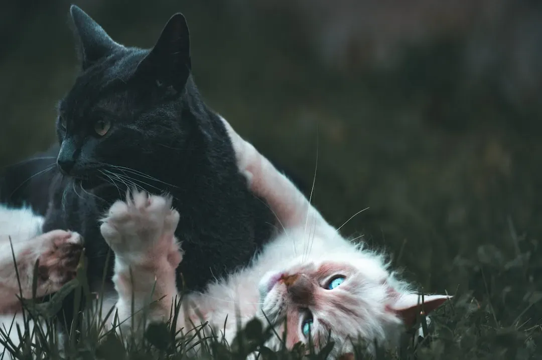 9. Playtime Becomes Both Easier And More Chaotic (Image Credits: Unsplash)