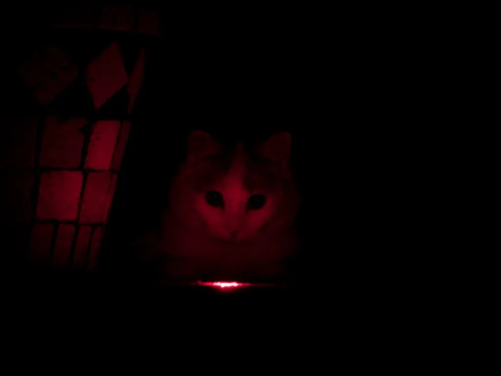 What Makes That Red Dot So Special? (Image Credits: Flickr)