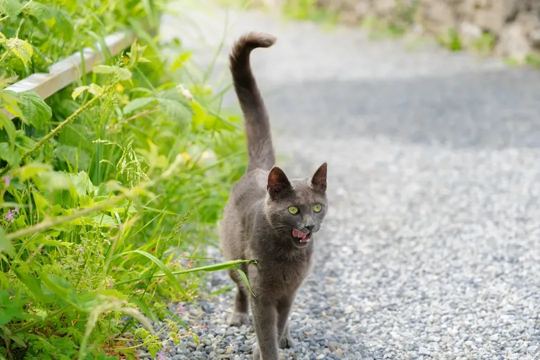 #2 The Slight Upward Curl at the Tip (Image Credits: Unsplash)
