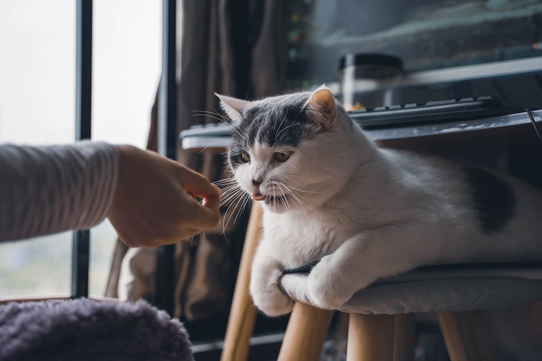 They Communicate With Complex Body Language (Image Credits: Unsplash)