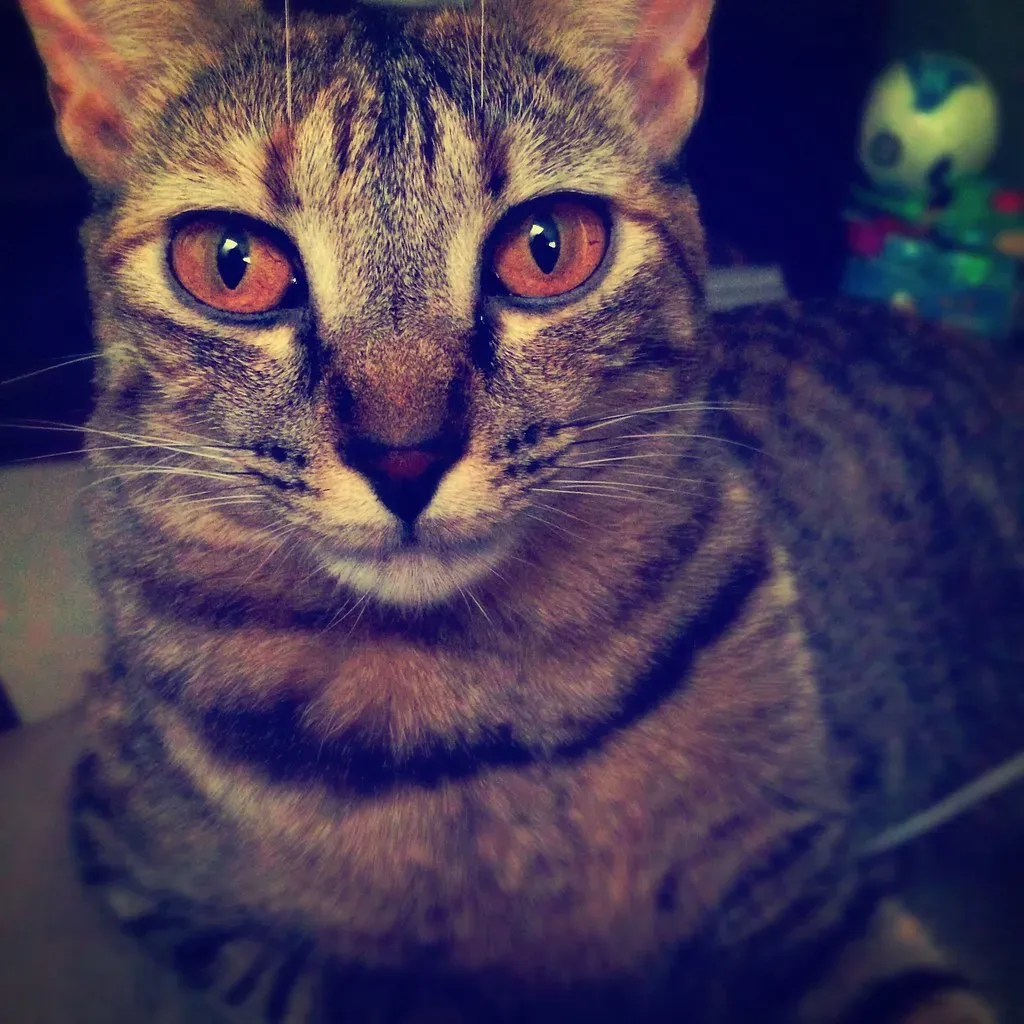 Muscle and Tissue Repair Gets a Surprising Assist (Image Credits: Flickr)