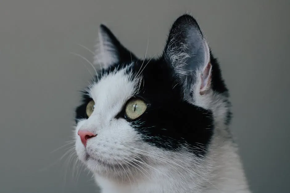 8. Tiny Pitch Changes That Communicate Emotion (Image Credits: Pexels)