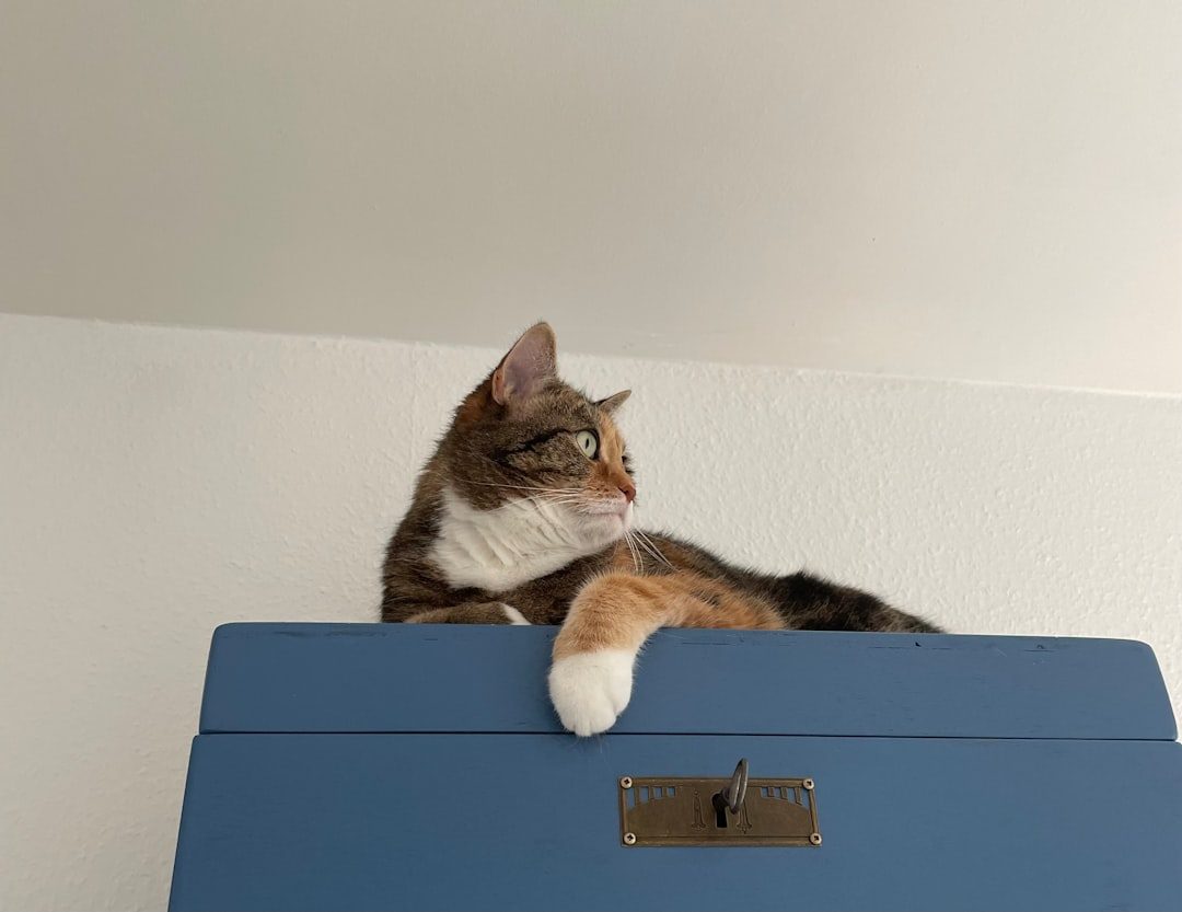 Creating Quiet Safe Spaces (Image Credits: Unsplash)