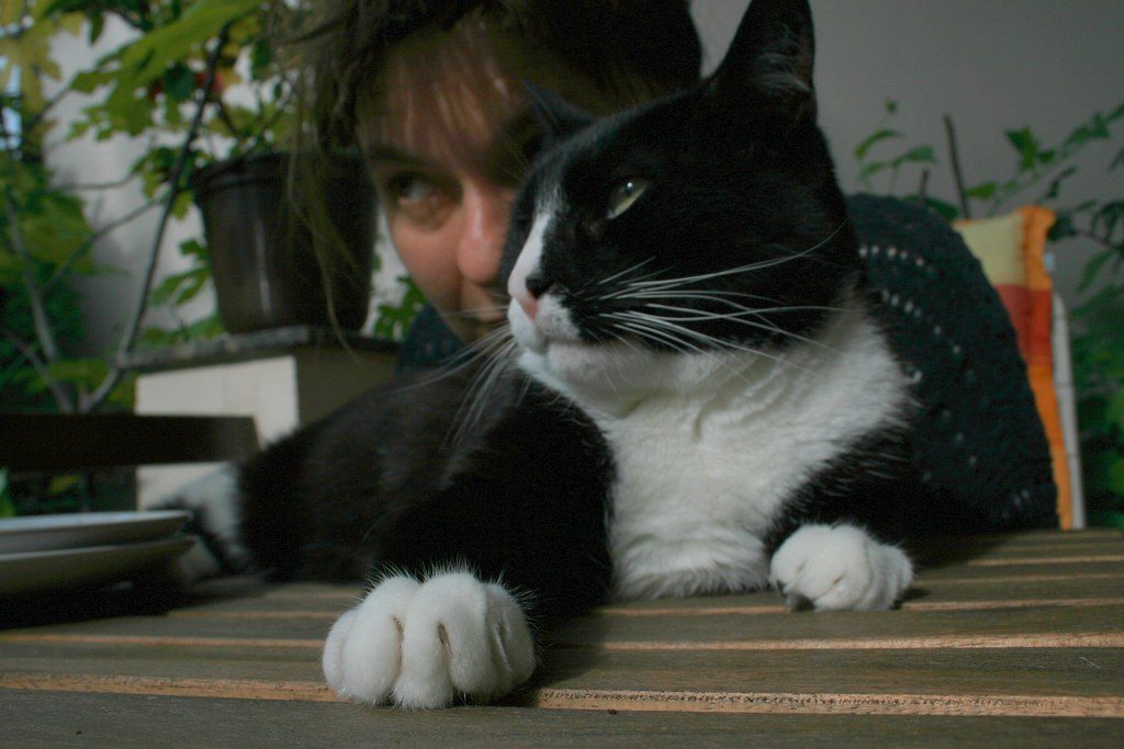 They Know Exactly How to Push Your Buttons (Image Credits: Flickr)