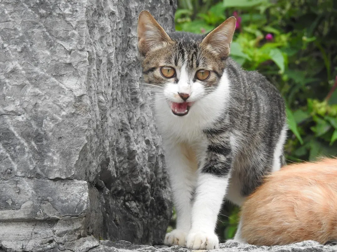 When You Ignore Legitimate Needs (Image Credits: Unsplash)