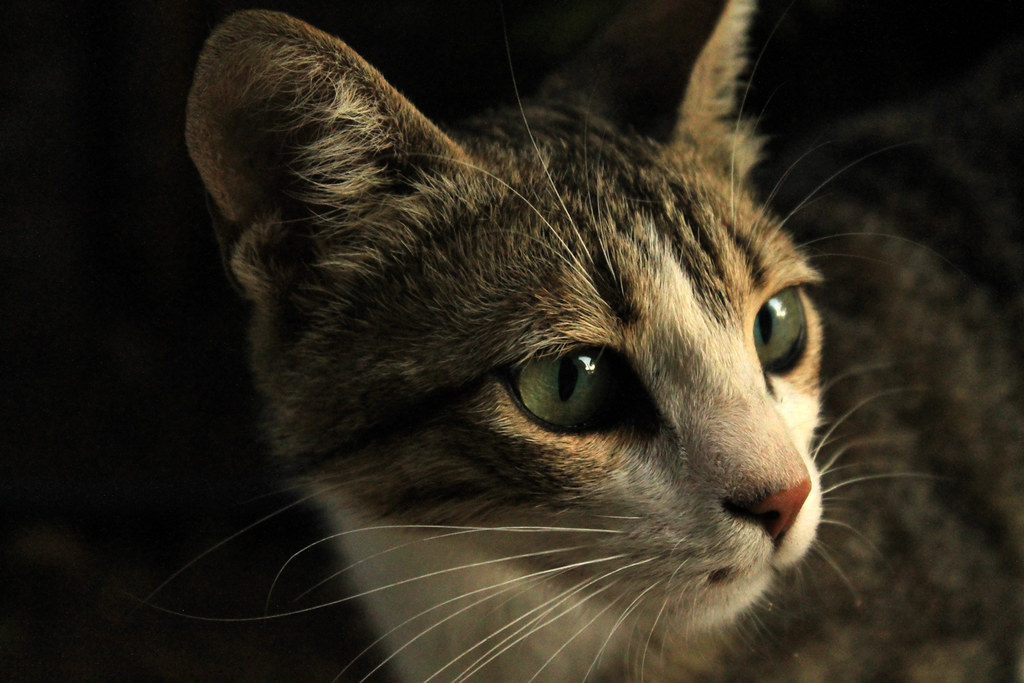 Let Them Come to You on Their Terms (Image Credits: Flickr)