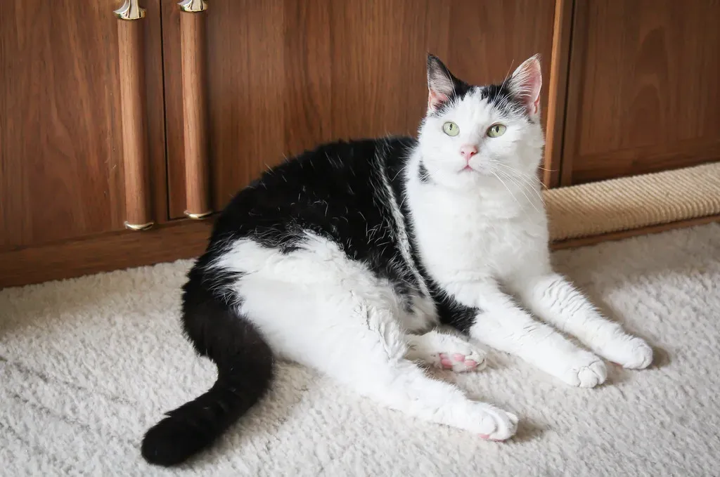 They May Learn Differently, But They Still Learn (Image Credits: Flickr)