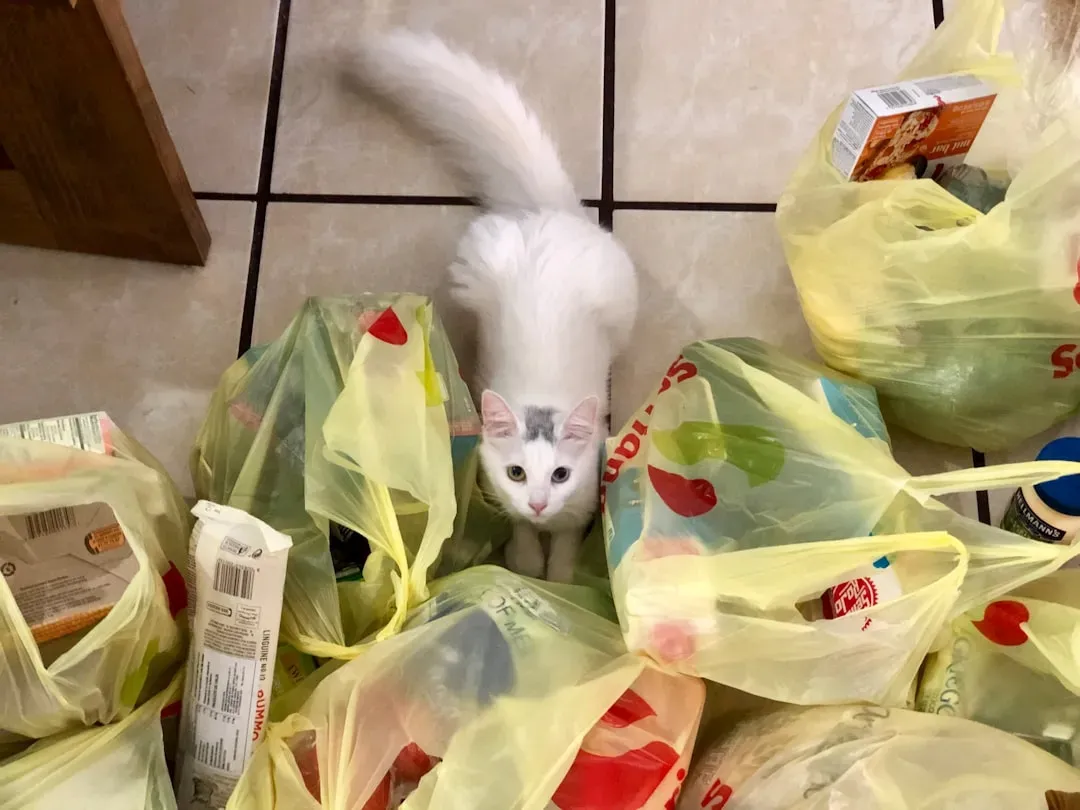 #2 Plastic bags and their crinkly sound (Image Credits: Unsplash)
