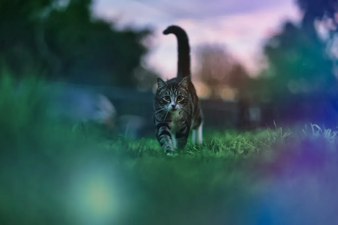 The Evolutionary Logic Behind the Twilight Timing (Image Credits: Unsplash)
