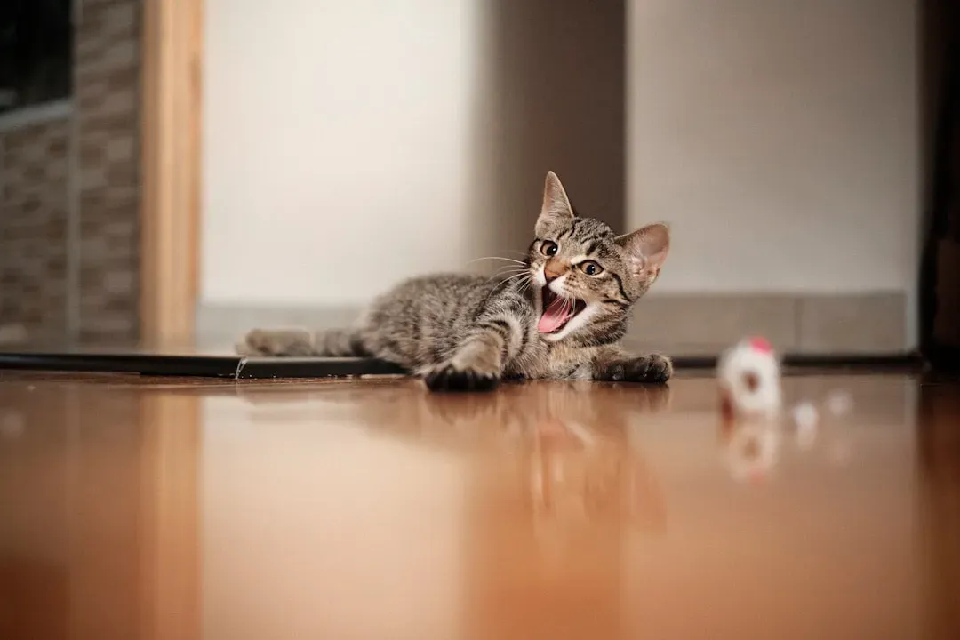 The Post-Bathroom Victory Lap (Image Credits: Unsplash)