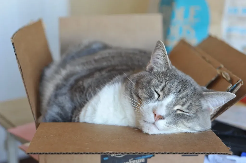 Security and Protection: The Ultimate Safe Haven (Image Credits: Flickr)