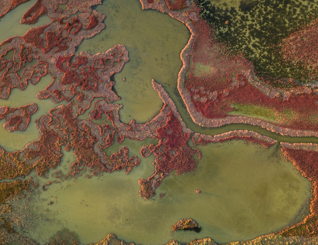 Conclusion (Image Credits: Unsplash)