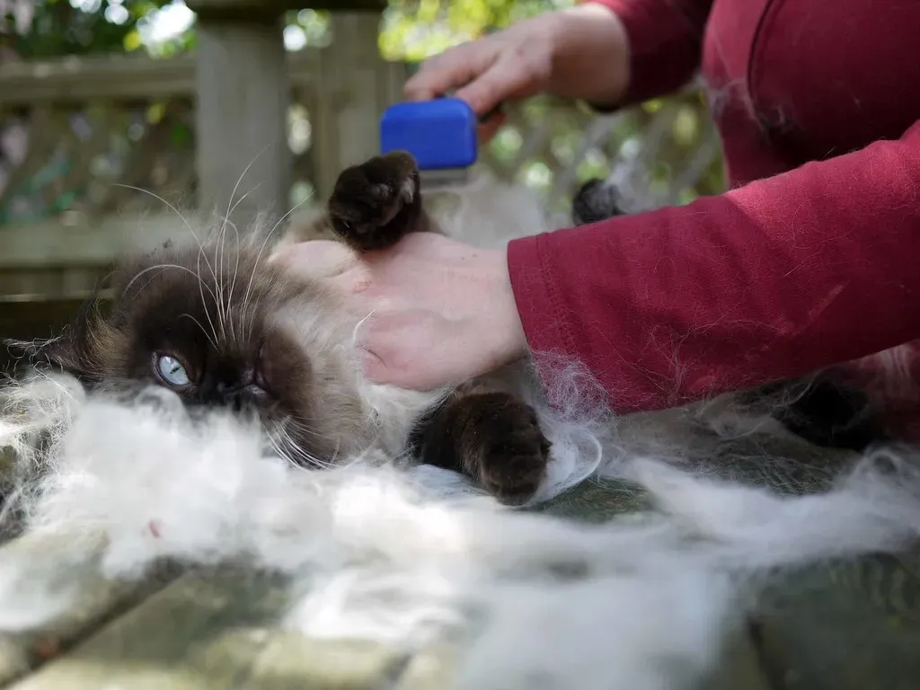 The Time Commitment Never Ends (Image Credits: Flickr)