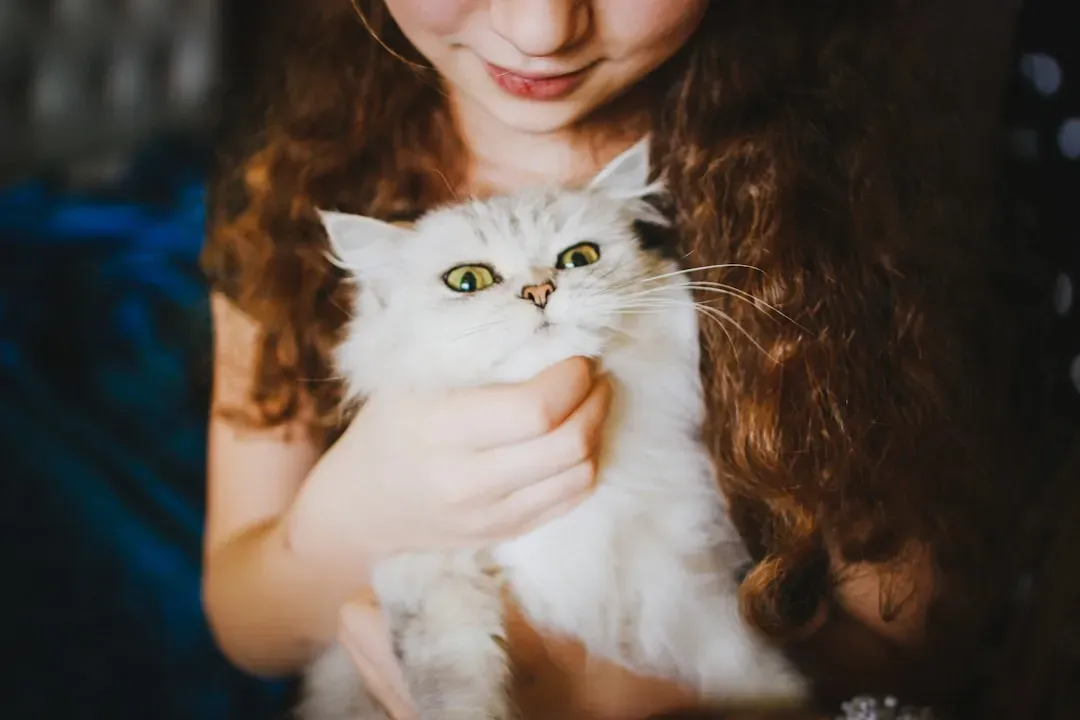 Why Senior Cats Deserve Your Consideration (Image Credits: Unsplash)