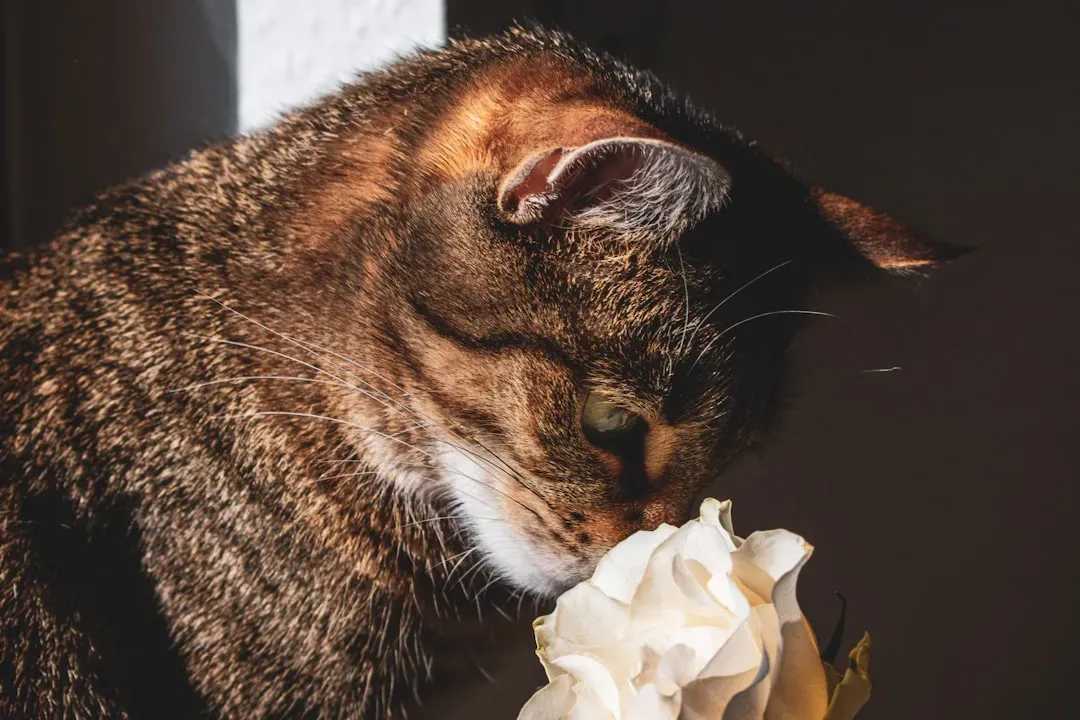 7. Scent Enrichment: Engage the Most Powerful Sense (Image Credits: Unsplash)