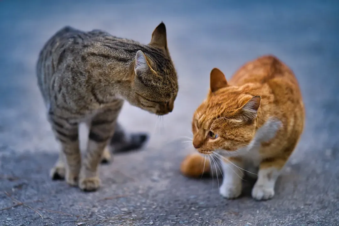 The Butt Sniff: Not Rude, Just Science (Image Credits: Unsplash)