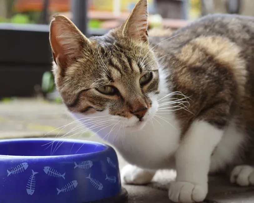 Why Your Cat Refuses to Drink Near the Food Bowl (Image Credits: Pexels)