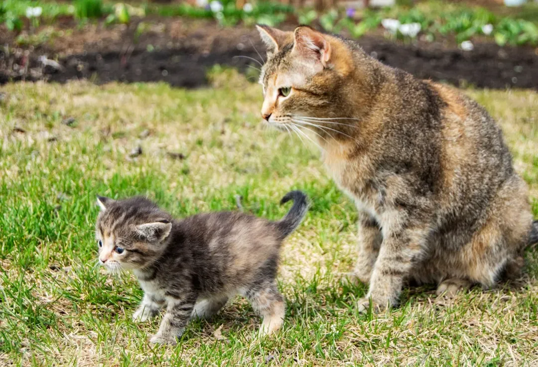 The Role of the Mother: How Hunting Skills Are Passed Down (Image Credits: Unsplash)