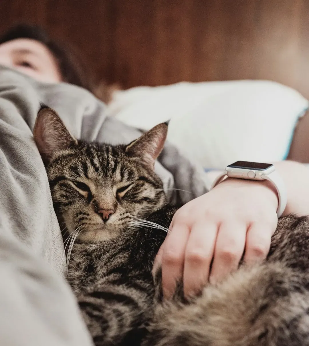 Cancer: The Emotional Cat Co-Sleeper (Image Credits: Unsplash)