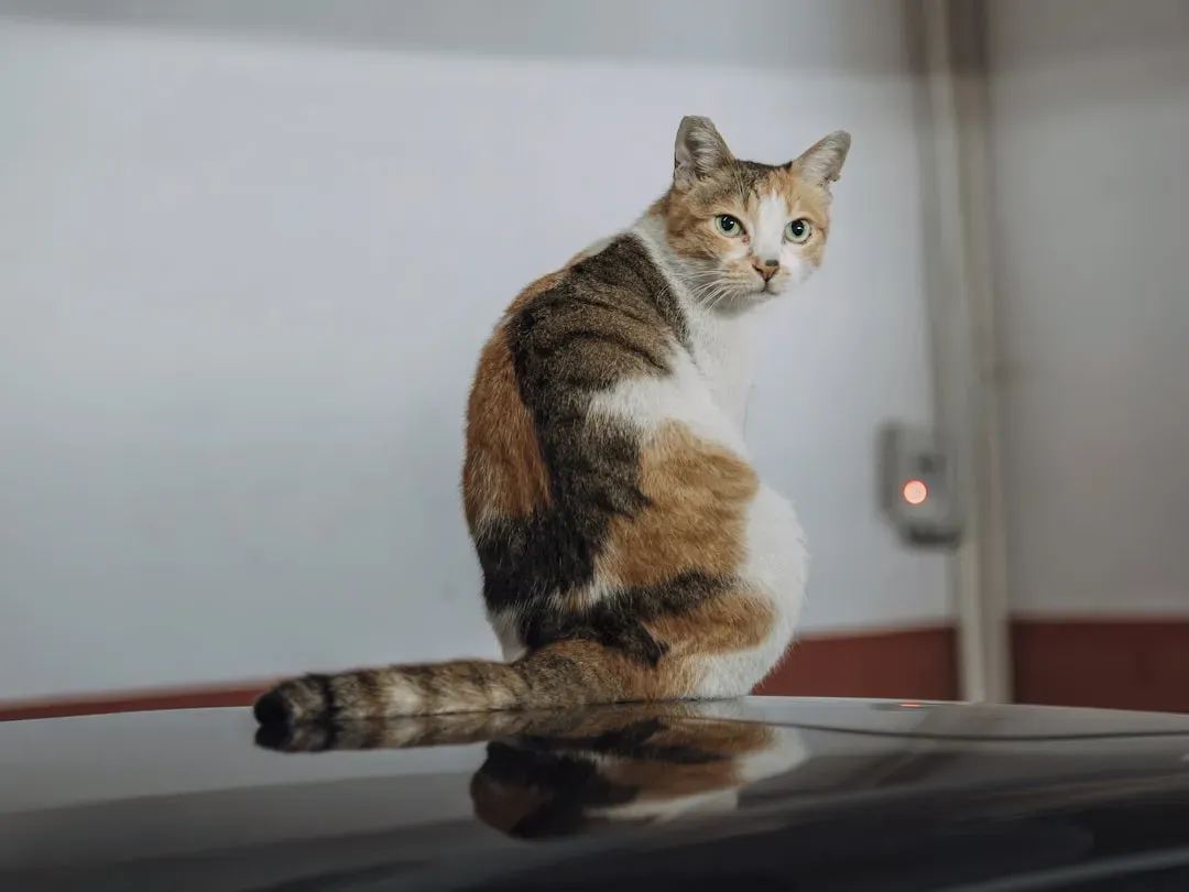 The Spine That Makes It All Possible (Image Credits: Unsplash)